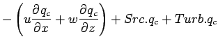 $\displaystyle - \left( u \DP{q_{c}}{x} + w \DP{q_{c}}{z} \right)
+ Src.q_{c} + Turb.q_{c}$