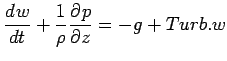 $\displaystyle \DD{w}{t} + \Dinv{\rho}\DP{p}{z} = -g + Turb.w$