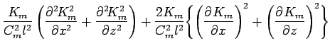 $\displaystyle \frac{K_{m}}{C_{m}^{2} l^{2}}
\left(\DP[2]{K_{m}^{2}}{x}
+ \DP[2]...
...Biggl\{\left(\DP{K_{m}}{x}\right)^{2}
+ \left(\DP{K_{m}}{z}\right)^{2}
\Biggr\}$